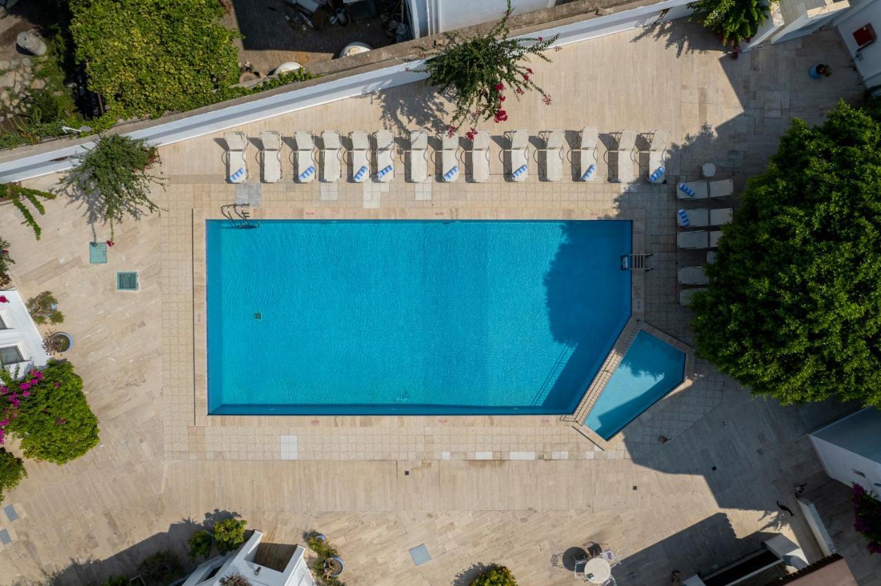 Seckin Konaklar Bodrum ภายนอก รูปภาพ